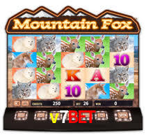 v7bet,v7bet.com